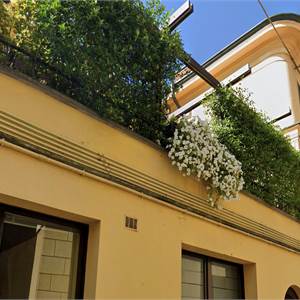 3 locali In Affitto a Crema